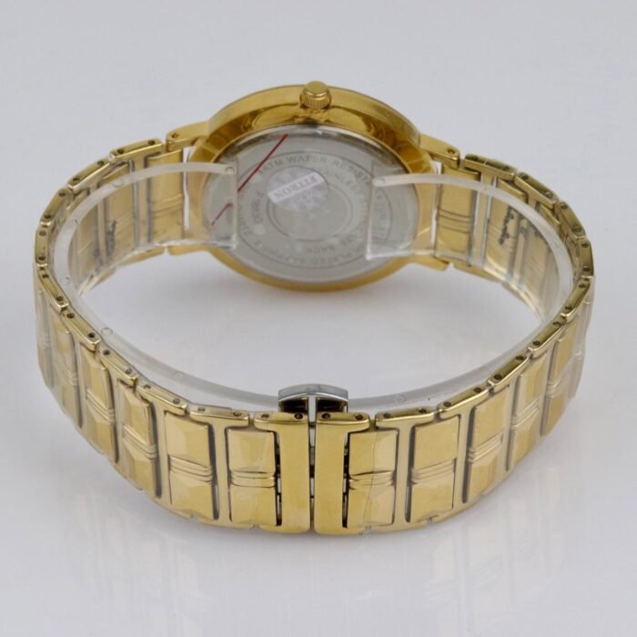 Fitron Watch - Ceramic - FT-115